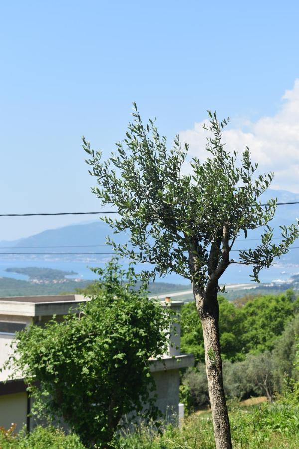 Apartment Macic Dub II Kotor Eksteriør bilde